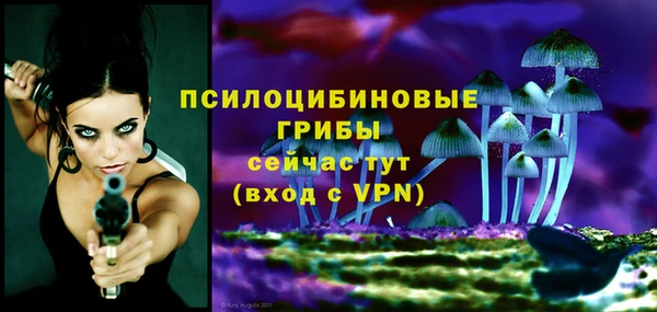 героин Каменка