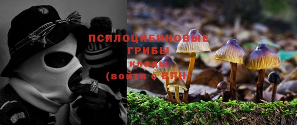 наркотики Каменск-Шахтинский